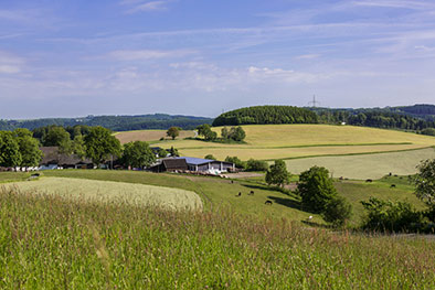 sauerland2